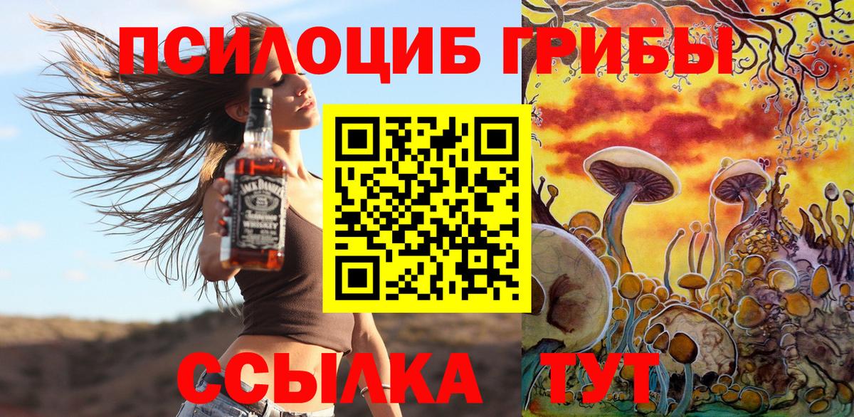 Галлюциногенные грибы Psilocybine cubensis Гусиноозёрск