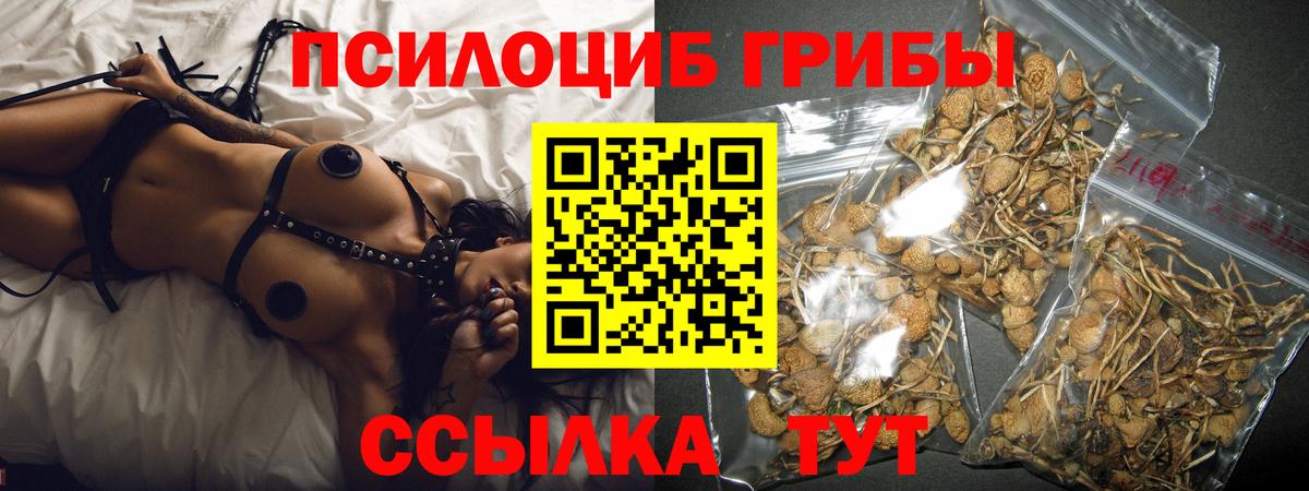 Псилоцибиновые грибы прущие грибы  Вход с VPN  Гусиноозёрск 